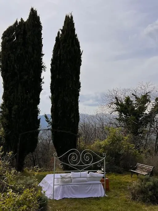 Tenuta Il Colle Di Tiglio Villa Barga 0*,