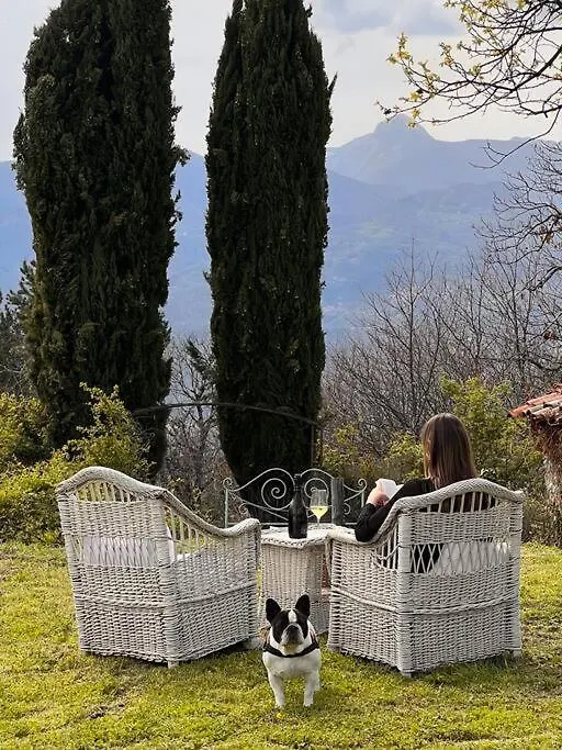 Tenuta Il Colle Di Tiglio Villa Barga