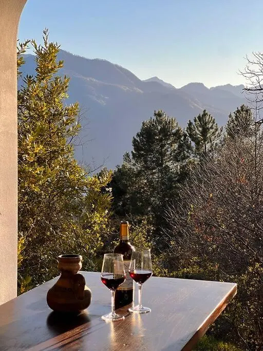 Tenuta Il Colle Di Tiglio Villa Barga Italy
