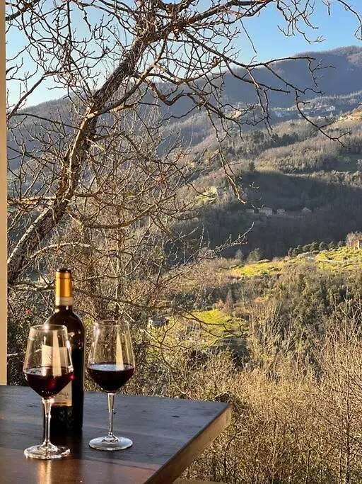 Tenuta Il Colle Di Tiglio Villa Barga Holiday home